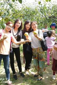 球盟会工会赴砀山进行金秋采摘活动