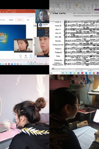 球盟会开展线上授课活动