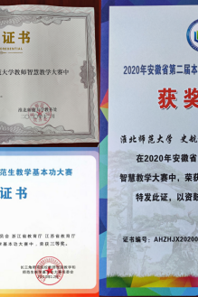 公司师生在2020年长三角师范院校教学竞赛中获得佳绩